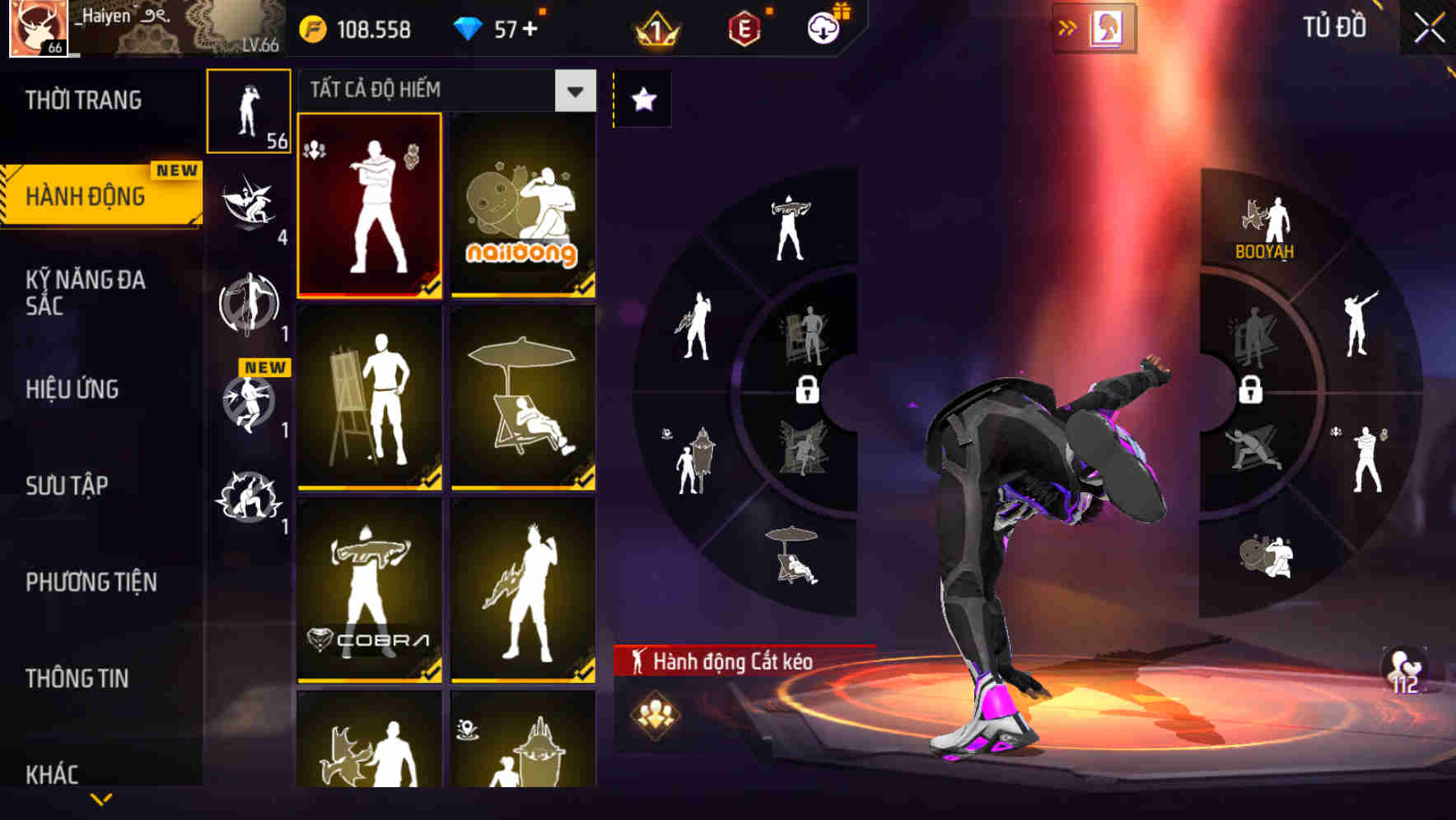 Ảnh 13
