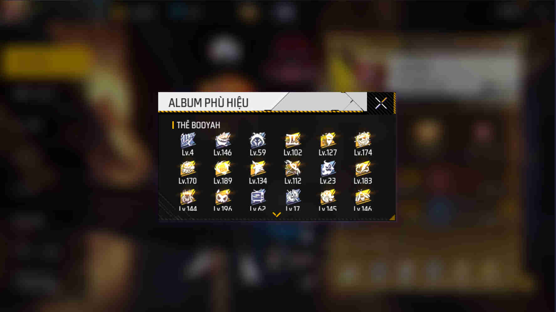 Ảnh 2